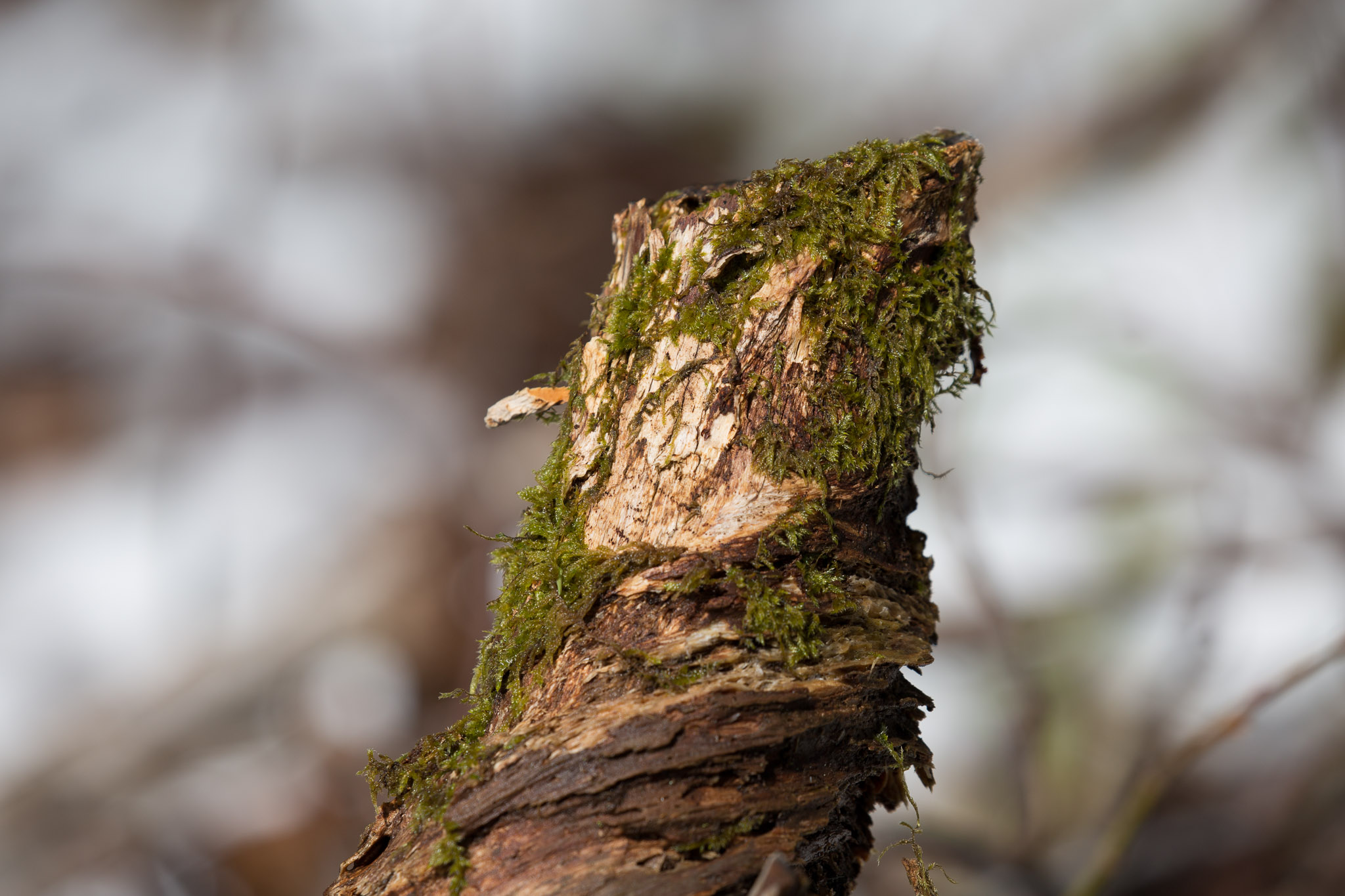 20220409143812 3K6A1904